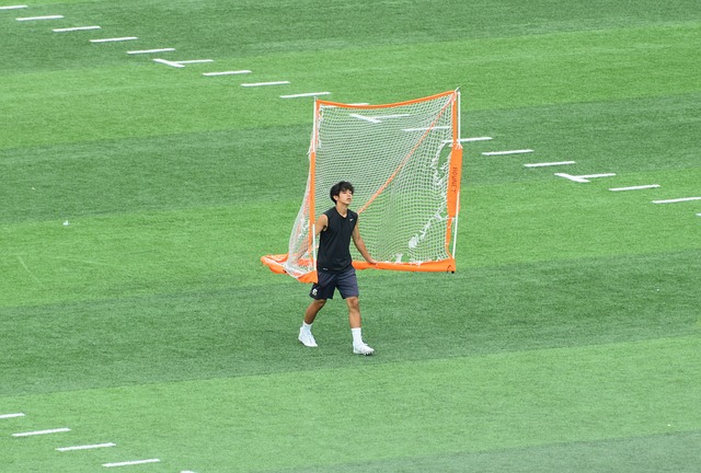 供一些启示