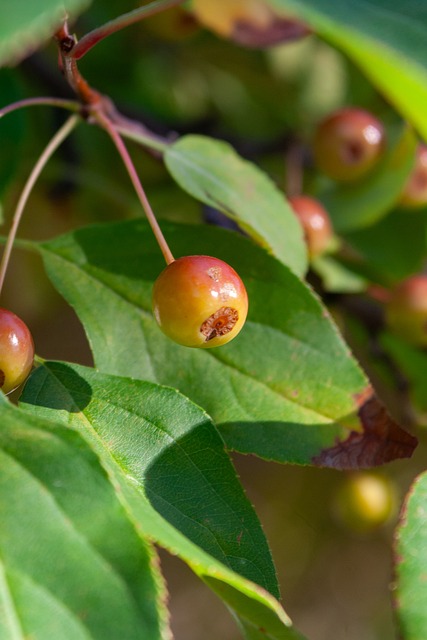 具和调味料 具和调味料