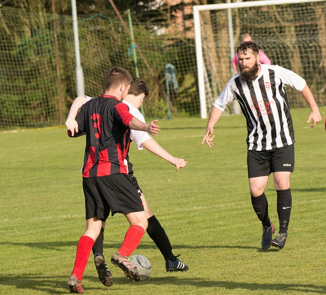 利用社交媒 利用社交媒