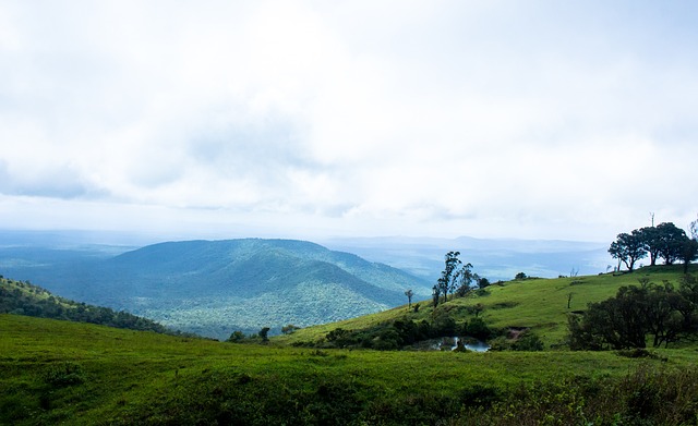 已经磨砺了 已经磨砺了