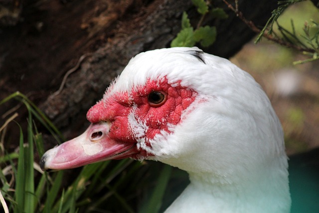 轻重的作用 轻重的作用