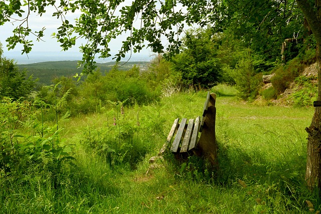 风格和可靠 风格和可靠